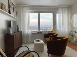 Top floor apt with stunning view