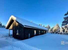 New cabin near X Country ski trails at Blefjell with Jacuzzi: Flesberg şehrinde bir kulübe
