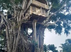 Glowing Mountain view tree house