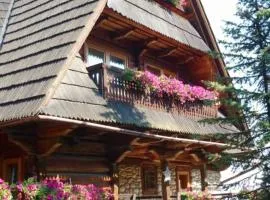 Bukovina Concept obok stoku i basenów termalnych