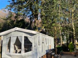 The Beeches Holiday Home- based at Aberdunant Hall Holiday Park, glamping em Prenteg