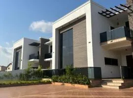 Modern villa 1