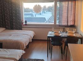 Arctic Condo at City Centre, condo in Rovaniemi