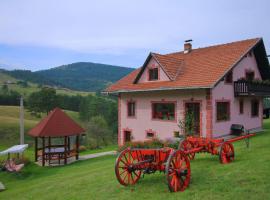 Domaćinstvo Spasenić, hotel in Ribnica