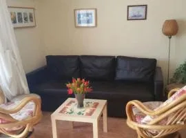 41 Puerto del Carmen Concha