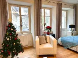 Appartement vue sur le Marché de Noel
