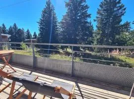 Chamrousse, 50m piste, wifi +, terrasse vue sapins