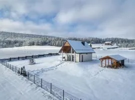 Lackowa Chill and Rest domki z balią Krynica Zdrój