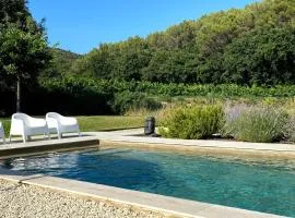 Maison des Vignes Swimming pool and charm in Lauris