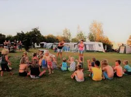 Minicamping Falkenborg