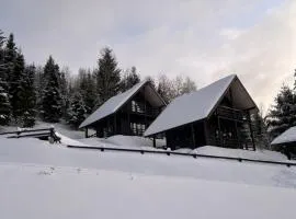 Cottages Shepit Lisu