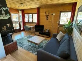 Appartement T2 ambiance chalet centre village proche des commerces et des pistes WIFI