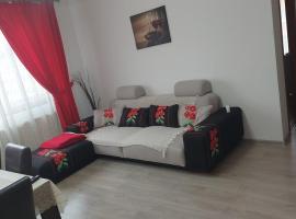 RentForComfort Charming Flat in Bistrita – tani hotel w mieście Simioneşti