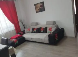 RentForComfort Charming Flat in Bistrita