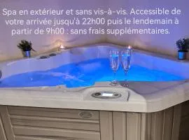 Appartement spa privatif et cinéma centre ville