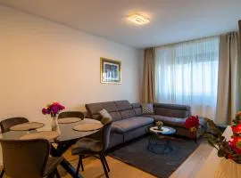 Flexible SelfCheckIns 63 - Zagreb - Loggia - Brand New