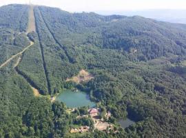 Pintea Chalet, hotel cerca de Teleschi Moski, Baia Sprie