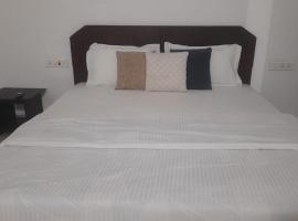 INAS Guest House, pensionat i Canacona