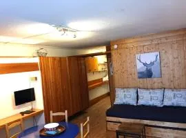 Studio 30m² exposé sud avec balcon, WiFi et animaux acceptés à Arc 1600 - FR-1-411-123