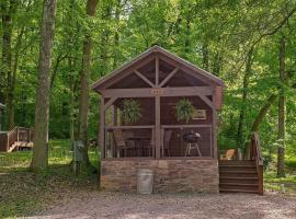 Lena Cabin Wooded Tiny Cabin - Hot Tub, hotel in Chattanooga