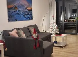 Triventi Apartament Rajski