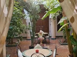 Riad Tidar by Phoenix