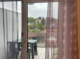 APARTMENT / WOHNUNG IN GOLDBACH