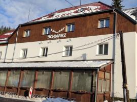 Hotel Schwarz, hotel di Nové Hamry