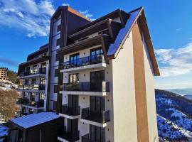 Hotel Aris Kopaonik apartman A05, huoneisto kohteessa Raška