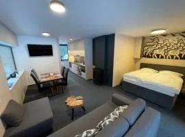 Apartmán A29-2, Hrabovo, Ružomberok