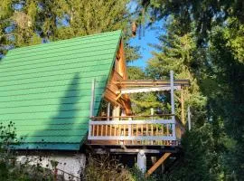 Finnhütte zwischen Wald und See