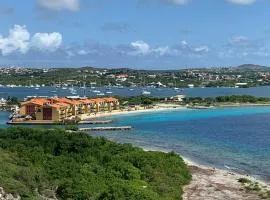 Ocean View Palapa
