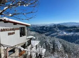 Александрова вила 1