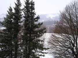 Hexenstube-Dorolina