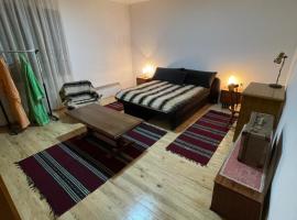 Accomodation Jotic, hotel in Pirot