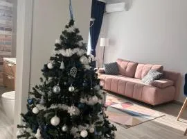 Karra Residence Timisoara - autorizat Ministerul Turismului