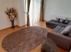 Apartament Selimbar