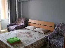 Однокомнатная квартира в центре города, Панфилова 80, Алматы