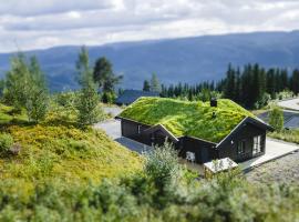 Chill cabin - fantastic view and nice hiking area, hotel a Aurdal