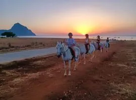 L'oasi Una Pineta Sul Mare