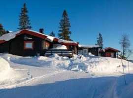 Rustic cabin on Lake Sjusjøen with a lovely view, hotel din Ringsaker