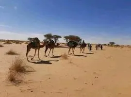 Riad chorroq merzouga