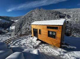Petit chalet Cosy, cabin in Villard-de-Lans
