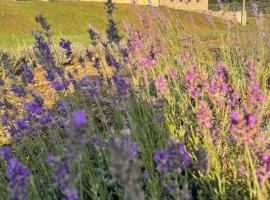 Agriturismo Al Mancino, hotell i Lonato