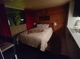 Lapland Aurora cabin: Rovaniemi şehrinde bir dağ evi