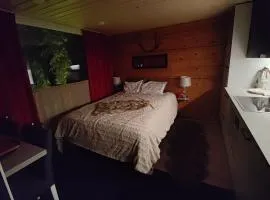 Lapland Aurora cabin