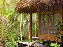 CHUNAKI ECOLODGES - Authentic Activities and Food in the Amazon