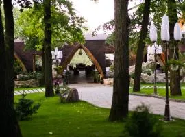 Hotel La Castel Iasi