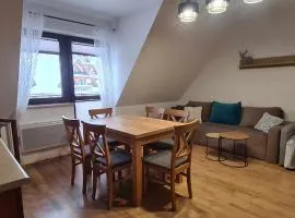 APARTAMENT 2 pokojowy