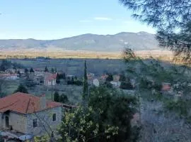Η θέα Τhe View